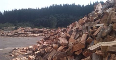 Firewood Direct - Rotorua
