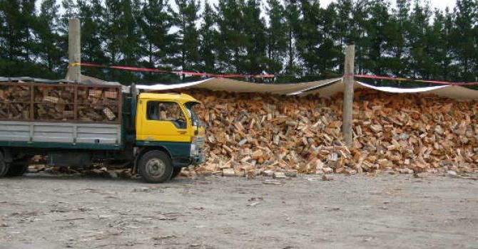 Superior Firewood Taupo