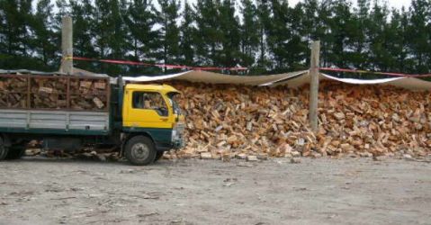 Superior Firewood Taupo