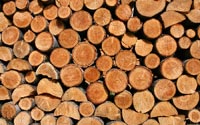 Wellington Firewood