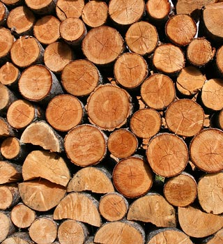 firewood