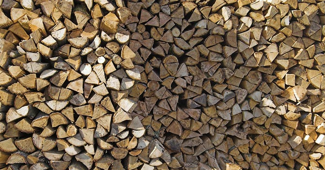 Palmerston North Firewood